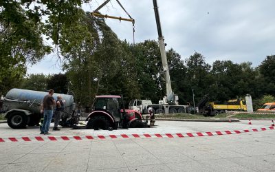 Kiedy warto wynająć żurawia samojezdnego?